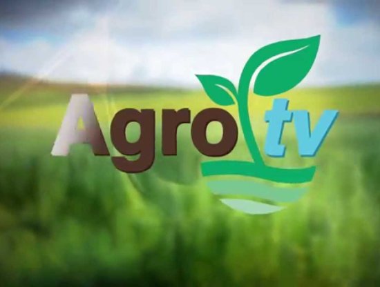 Agro Tv Canlı izle