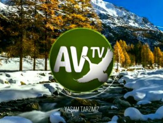 Av Tv Canlı izle